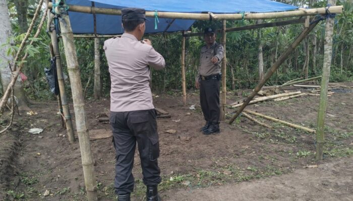Polres Malang Kembali Bongkar Area Sabung Ayam di Kalipare