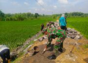 Babinsa Bangun Jalan Menuju Sawah, Mempermudah Akses Petani Menuju Sawah