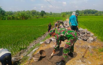 Babinsa Bangun Jalan Menuju Sawah, Mempermudah Akses Petani Menuju Sawah