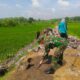 Babinsa Bangun Jalan Menuju Sawah, Mempermudah Akses Petani Menuju Sawah