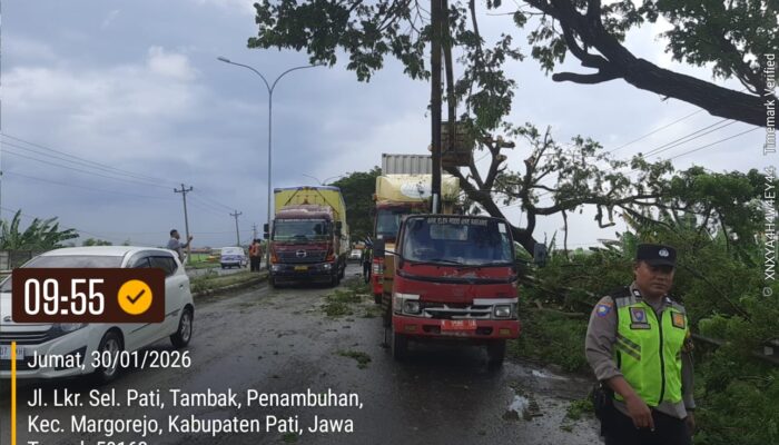 Truk Tronton Tersangkut Pohon di JLS Penambuhan, Polisi Bergerak Cepat Amankan Lalu Lintas