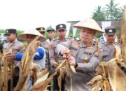 Polres Malang Panen Raya Jagung, Hasil 8 Ton untuk Dukung Stok Pangan