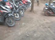 Polres Jombang Tutup Mata Marak Judi Sabung Ayam Ramai Tiap Akhir Pekan