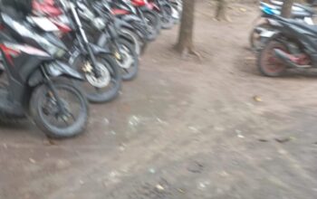 Polres Jombang Tutup Mata Marak Judi Sabung Ayam Ramai Tiap Akhir Pekan