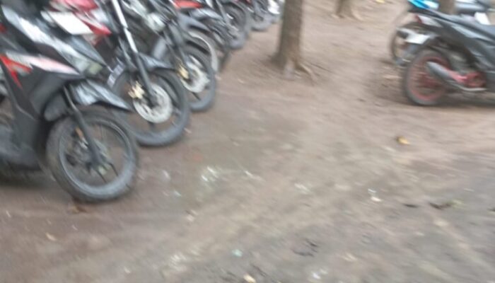 Polres Jombang Tutup Mata Marak Judi Sabung Ayam Ramai Tiap Akhir Pekan