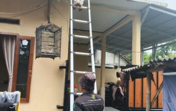 Pemasangan WiFi di Kp Selon Disorot, Diduga Belum Maksimal Terapkan Standar K3