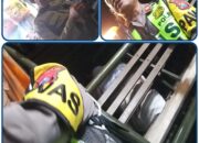 Tak Bisa Bayar, Pria Tanpa Identitas Diamankan Satpol PP di Kenjeran