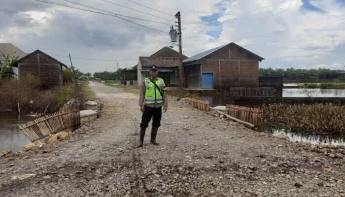 Banjir Luapan Tiga Sungai Rendam 2 Desa di Pati, Kerugian Sawah Capai Rp1,8 Miliar