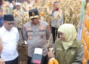 Kapolda Jatim dan Gubernur Panen Jagung di Green Farm Banyuwangi Penuhi Target Swasembada Pangan ‎