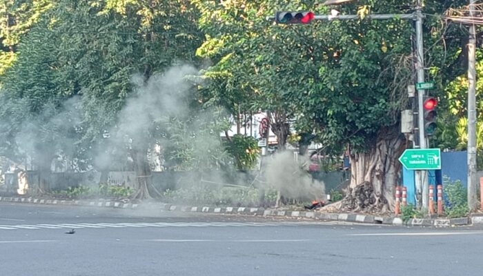 Asap Beracun di Bunguran: Pembakaran Limbah Plastik Diduga Langgar Hak Konstitusional Warga