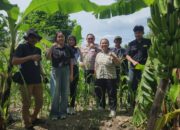 Wujudkan Swasembada Pangan, Polsek Kenjeran Gandeng Mahasiswa Riset Kualitas Jagung di Tambak Wedi