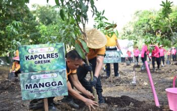Peduli Lingkungan, Polres Gresik Bersama Bhayangkari Tanam Puluhan Pohon Produktif