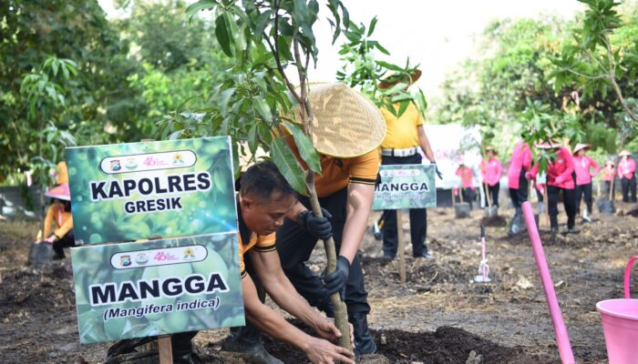 Peduli Lingkungan, Polres Gresik Bersama Bhayangkari Tanam Puluhan Pohon Produktif