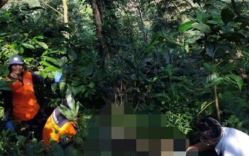 Penemuan Kerangka Manusia di Perbukitan Blekutuk Gembong, Polisi Lakukan Penyelidikan