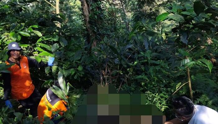 Penemuan Kerangka Manusia di Perbukitan Blekutuk Gembong, Polisi Lakukan Penyelidikan