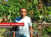 Aksi Hari Anti Tambang Nasional di Pati Diwarnai Insiden Pembakaran, JMPPK Sampaikan Klarifikasi