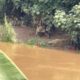 Warga Kedaung Wetan Geger, Seekor Buaya Muncul di Sungai Cisadane