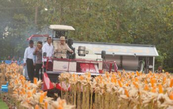 Presiden Prabowo dan Kapolri Panen Raya Jagung Nasional di Tuban Perkuat Ketahanan Pangan