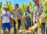 Polresta Sidoarjo Gelorakan Swasembada Pangan Melalui Program P2B