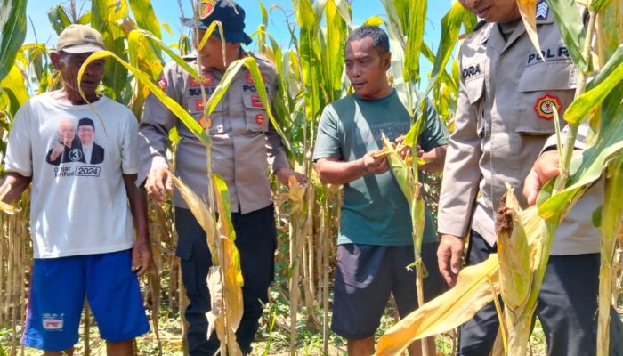 Polresta Sidoarjo Gelorakan Swasembada Pangan Melalui Program P2B
