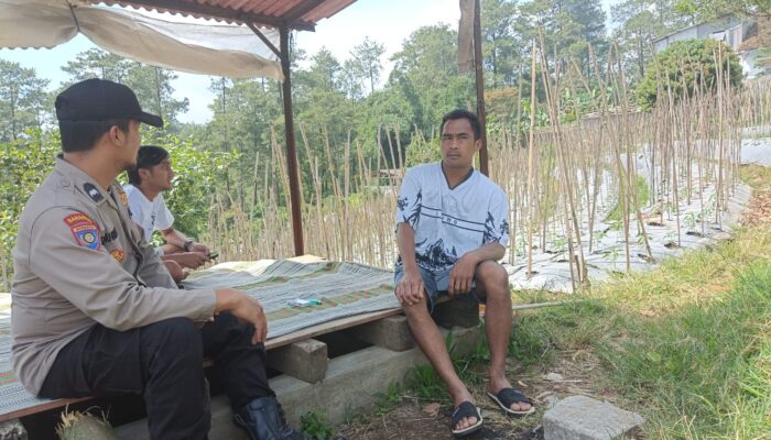 Bhabinkamtibmas Desa Gendro Tinjau Tanaman Cabai dalam Program Pekarangan Pangan Bergizi