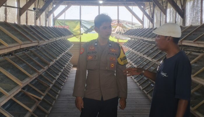 Bhabinkamtibmas Masangan Monitoring Peternakan Puyuh Produktif Milik Bumdes