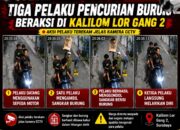 Dua Ekor Murai Batu Raib Digondol Maling, Aksi Tiga Pemuda Terekam CCTV di Kalilom Lor Timur