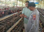 Bhabinkamtibmas Polsek Rembang Laksanakan Pemantauan Peternakan Ayam Petelur Dukung Ketahanan Pangan Nasional
