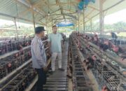 Bhabinkamtibmas Polsek Rembang Laksanakan Pemantauan Peternakan Ayam Petelur Dukung Ketahanan Pangan Nasional