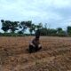 Bhabinkamtibmas Kepenghuluan Jumrah Aktif Pantau Pertumbuhan Jagung, Dukung Program Ketahanan Pangan Nasional