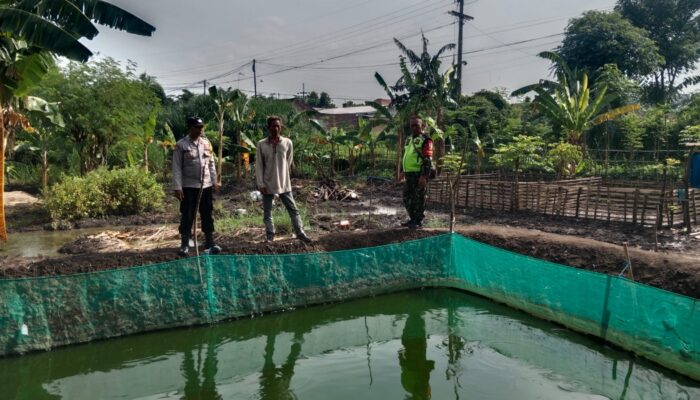 Bhabinkamtibmas Kelurahan Pogar Pantau Budidaya Lele untuk Dukung Ketahanan Pangan Nasional