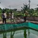 Bhabinkamtibmas Kelurahan Pogar Pantau Budidaya Lele untuk Dukung Ketahanan Pangan Nasional