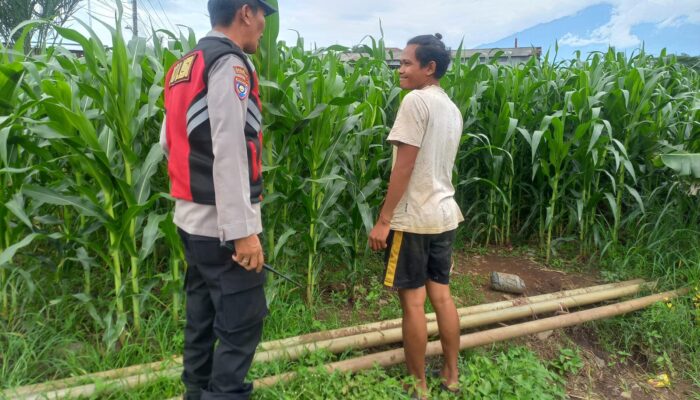 Bhabinkamtibmas Polsek Sukorejo Dampingi Kelompok Tani Optimalkan Lahan Produktif untuk Dukung Ketahanan Pangan