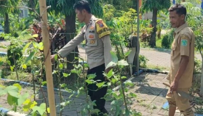 Bhabinkamtibmas Polsek Bangil Dorong Ketahanan Pangan Lewat P2B di Kalirejo