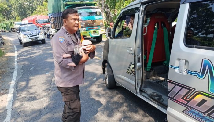 Tuai Pujian Warganet, Aksi Heroik Bhabinkamtibmas Polsek Bagor Selamatkan Bayi Korban Kecelakaan Bus di Nganjuk