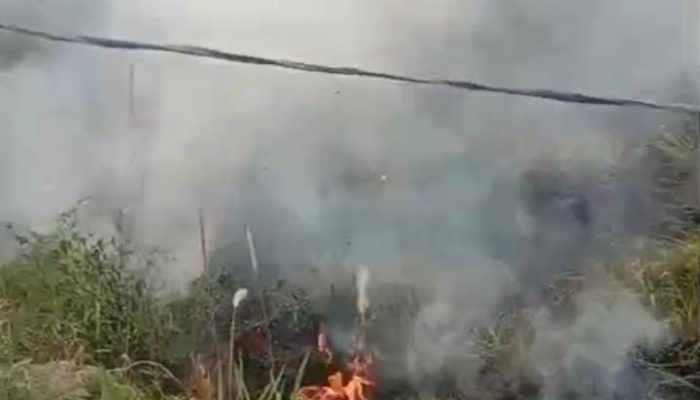 Kebakaran Lahan di Kampung Bojong Manuk Berhasil Dikendalikan, Api Tak Merembet ke Permukiman Warga