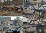 Si Jago Merah Mengamuk, Rumah Kayu Milik Haryati Komala Sari Ludes Terbakar
