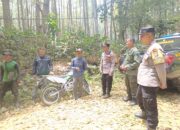 Cegah Karhutla, Polres Bondowoso Patroli Kawasan Hutan, Ingatkan Sanksi Hukum Pembakar Hutan