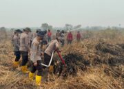 Polda Jambi Gunakan 1.400 Liter Cairan X-Fire untuk Percepat Penanganan Karhutla di Taman Nasional Berbak
