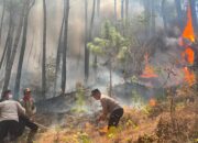 Polres Ponorogo dan Tim Gabungan Tembus Medan Curam Lereng Gunung Limas Padamkan Api Karhutla