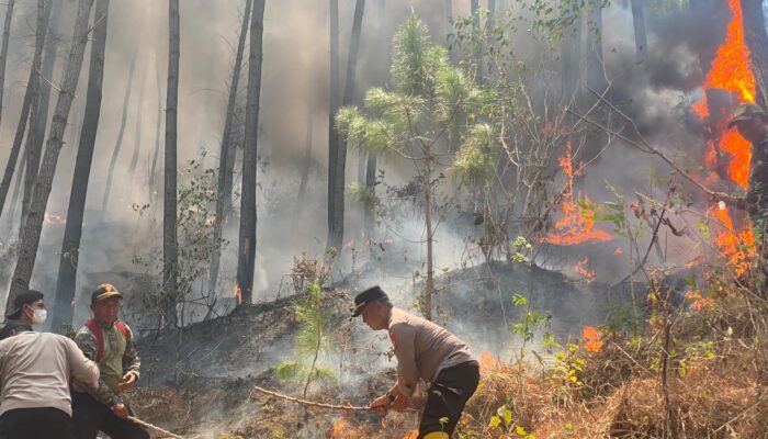 Polres Ponorogo dan Tim Gabungan Tembus Medan Curam Lereng Gunung Limas Padamkan Api Karhutla