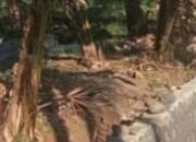 LSM Harimau Bongkar Sejumlah Sorotan di Proyek Irigasi Pendarungan, Dinas Diminta Bertindak Cepat