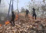 Respons Cepat Polres Ponorogo dan Tim Gabungan Berhasil Jinakkan Karhutla di Sampung