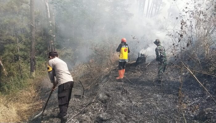 Polres Ngawi dan Tim Gabungan Jinakan Api di Gunung Botak, Medan Berat Jadi Tantangan