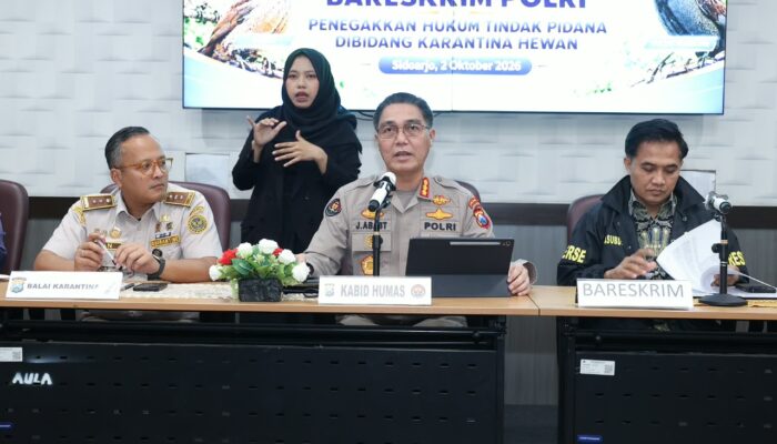 Bareskrim Polri Ungkap Dugaan Penyelundupan Ribuan Burung Tanpa Dokumen Karantina di Sidoarjo, Dua WNA Vietnam Jadi Tersangka
