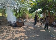 Polsek Waru Bongkar Arena Sabung Ayam di Bungurasih Utara