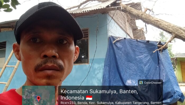 Pohon Tumbang Timpa Gedung TK di Benda, FKDM dan Warga Bergotong Royong