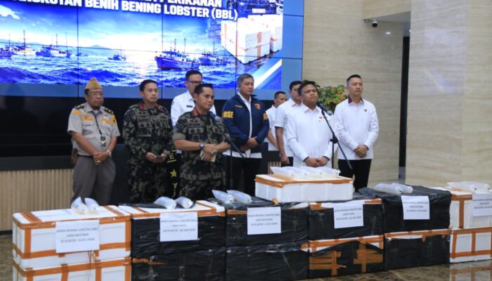 Polri Ungkap Jaringan Penyelundupan Baby Lobster Lintas Negara, Dua Pelaku Ditangkap
