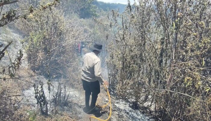 Polres Lumajang dan Tim Gabungan Berjibaku Taklukkan Karhutla di TNBTS