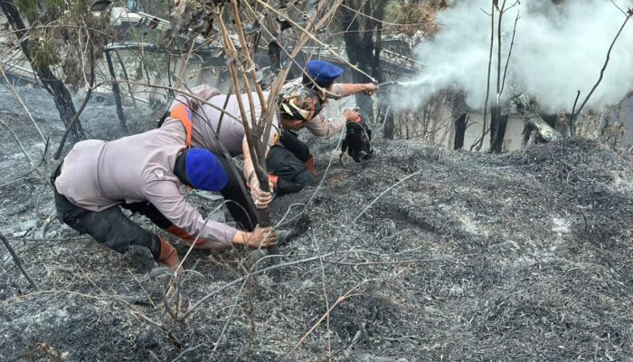 Personel BKO Polda Jatim Gerak Cepat Padamkan Titik Api, Cegah Karhutla TNBTS Meluas